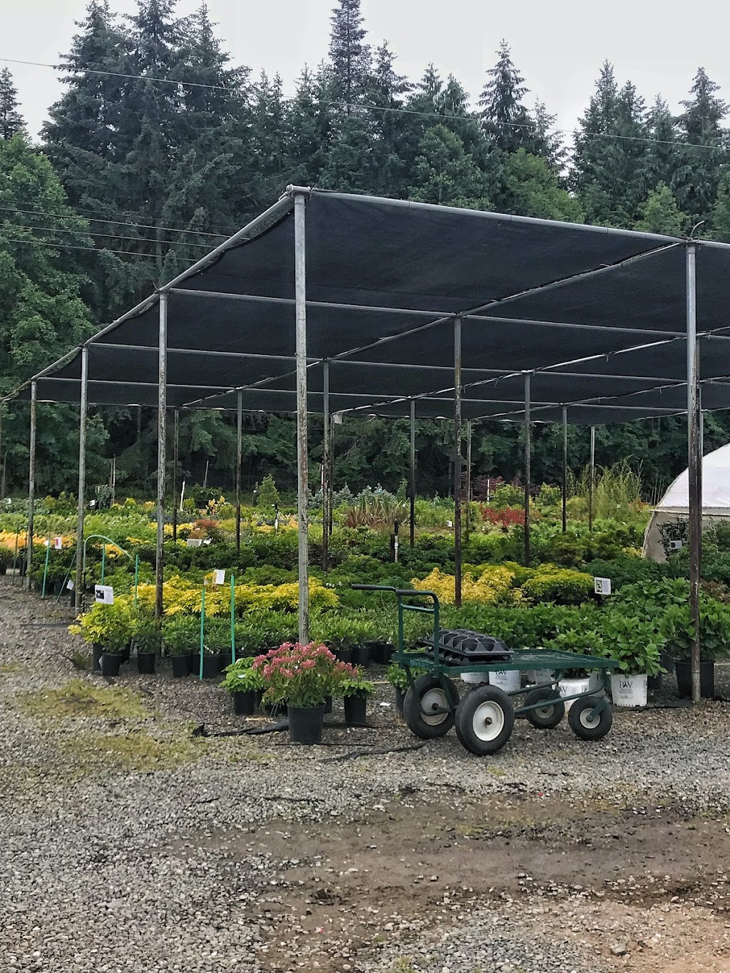 Ken-Dor Garden Centre | 845 Qualicum Rd, Qualicum Beach, BC V9K 2T6, Canada | Phone: (250) 594-1117