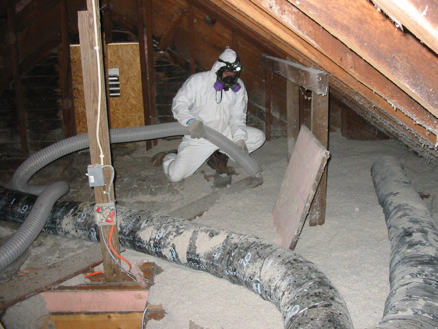 Asbestos Abatement Ltd | 19 Pettipas Dr, Dartmouth, NS B3B 1K1, Canada | Phone: (902) 468-5275