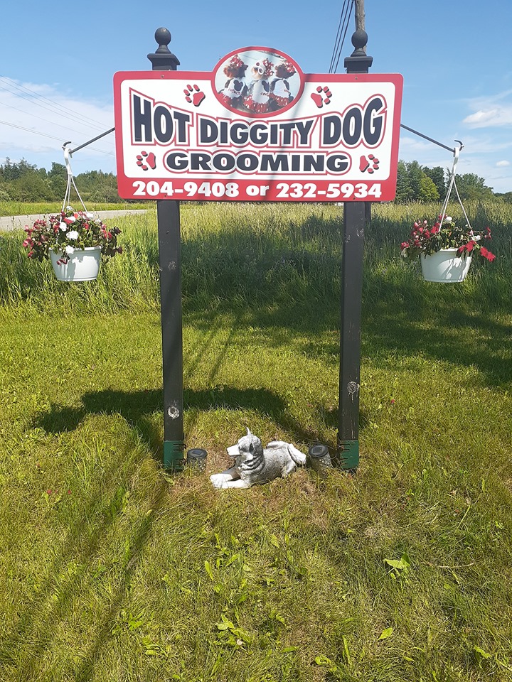 Hot Diggity Dog Grooming | 2160 Route 106, Allison, NB E1G 4L1, Canada | Phone: (506) 232-5934