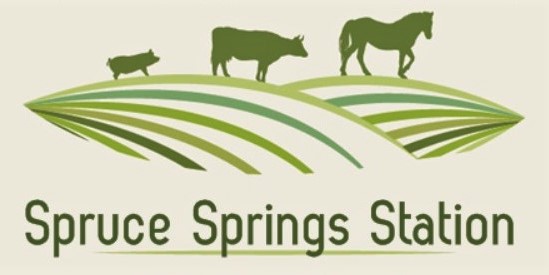 Spruce Springs Station | 1230 Wiggins Rd, Bridesville, BC V0H 1B0, Canada | Phone: (250) 446-2288