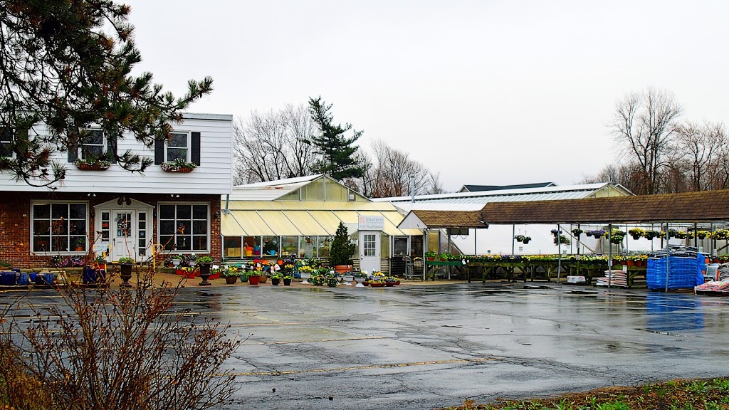 Mischlers Florist and Greenhouses | 118 S Forest Rd, Williamsville, NY 14221, USA | Phone: (716) 632-1290