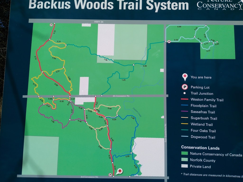 Backus Woods | Concession Rd 4, Walsingham, ON N0E 1X0, Canada