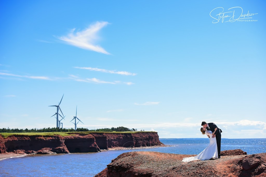 Stefan Davidson Photography | Lupin Ln, Halifax, NS B3T 1P8, Canada | Phone: (902) 209-2754