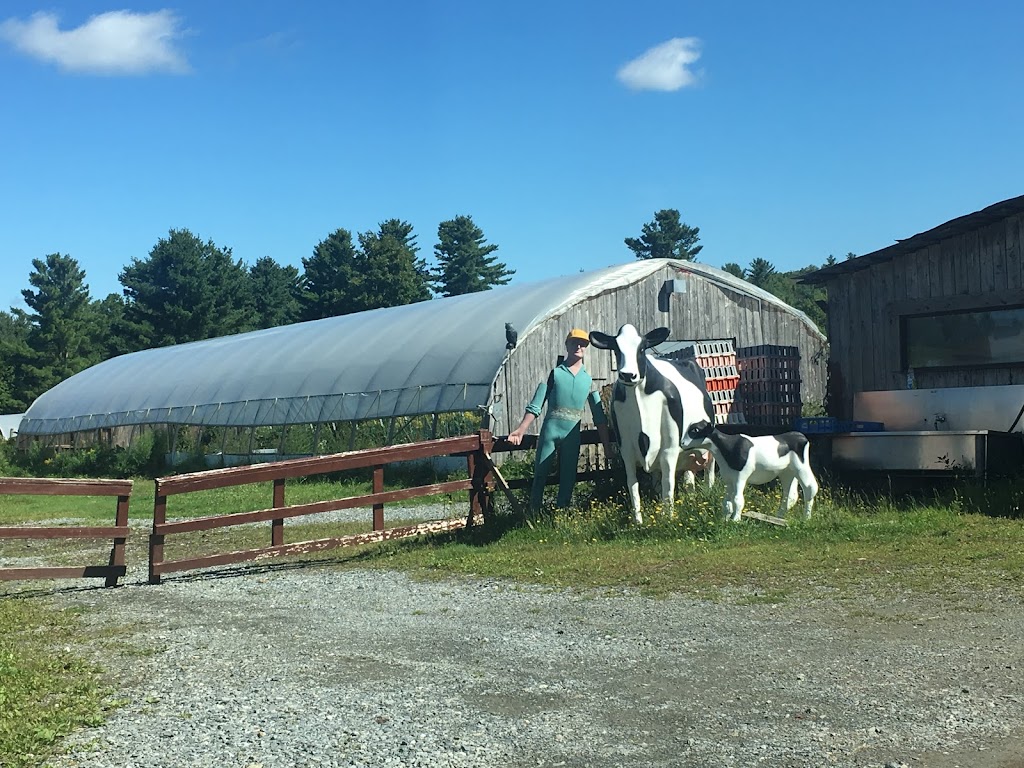 La Ferme Potagère | 1523 Chem. Ayers Cliff, Magog, QC J1X 7Z9, Canada | Phone: (819) 843-2884