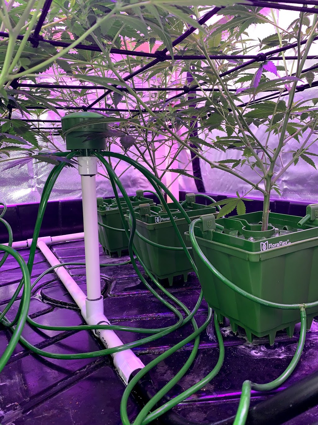The Grow Depot | 1040 Martin Grove Rd Unit 11, Etobicoke, ON M9W 4W4, Canada | Phone: (647) 748-4769