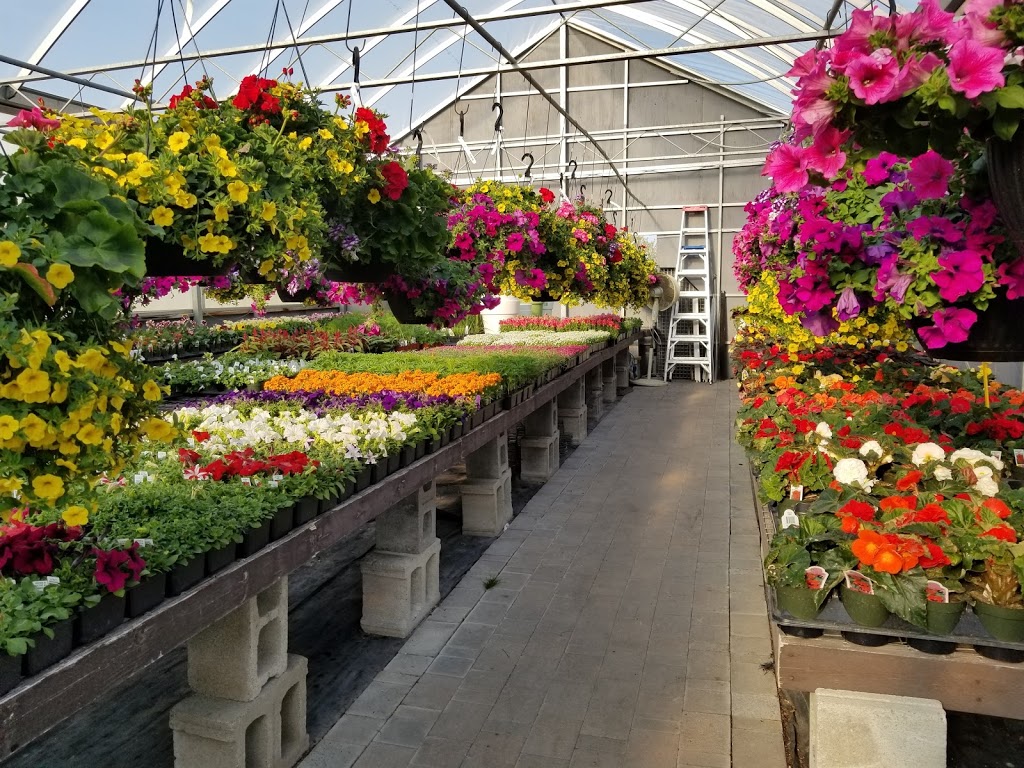 New Roots Garden Centre | 17235 Yonge St, Newmarket, ON L3Y 5L8, Canada | Phone: (905) 895-9727