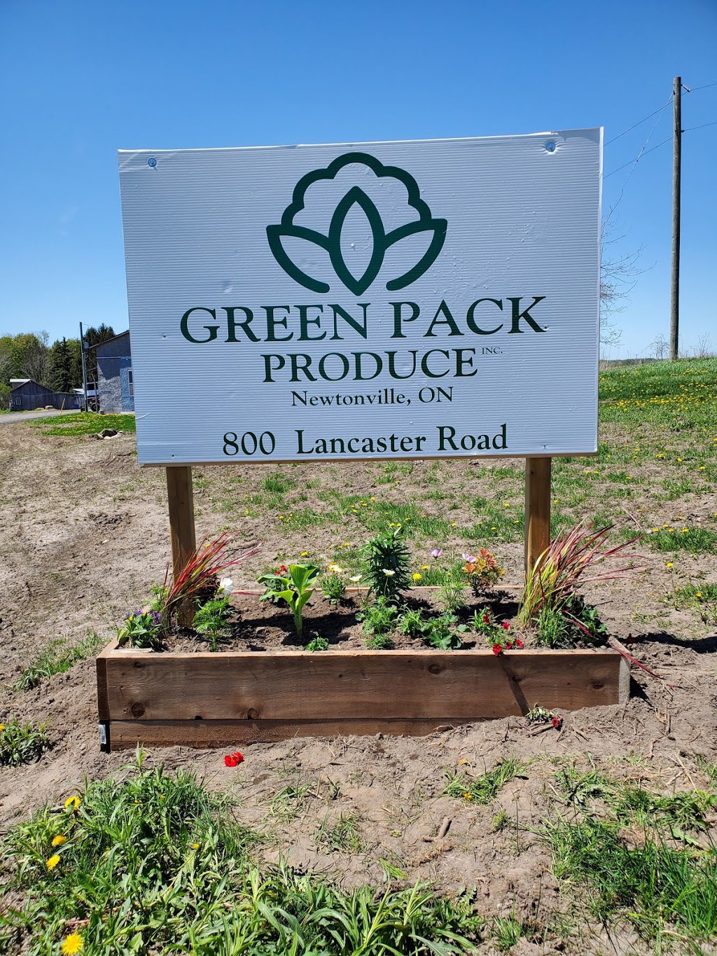 Green Pack Produce Inc. | 800 Lancaster Rd, Newcastle, ON L1B 1L9, Canada | Phone: (289) 928-2003