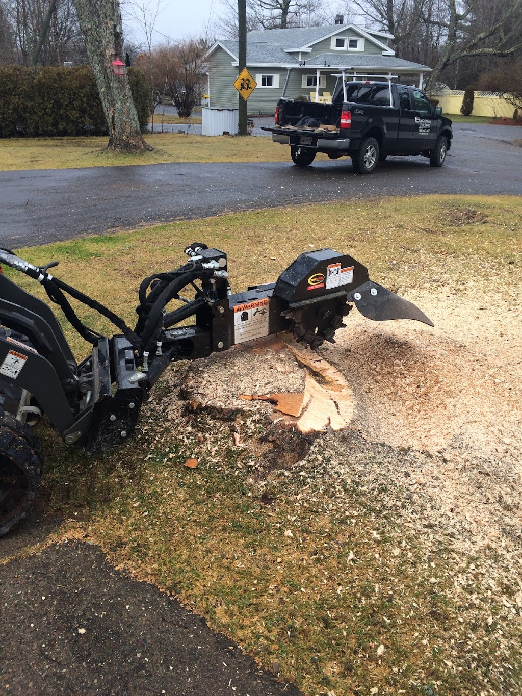 Nightingale Tree Service | 16 Nightingale Ln, Quispamsis, NB E2E 3T1, Canada | Phone: (506) 647-1055