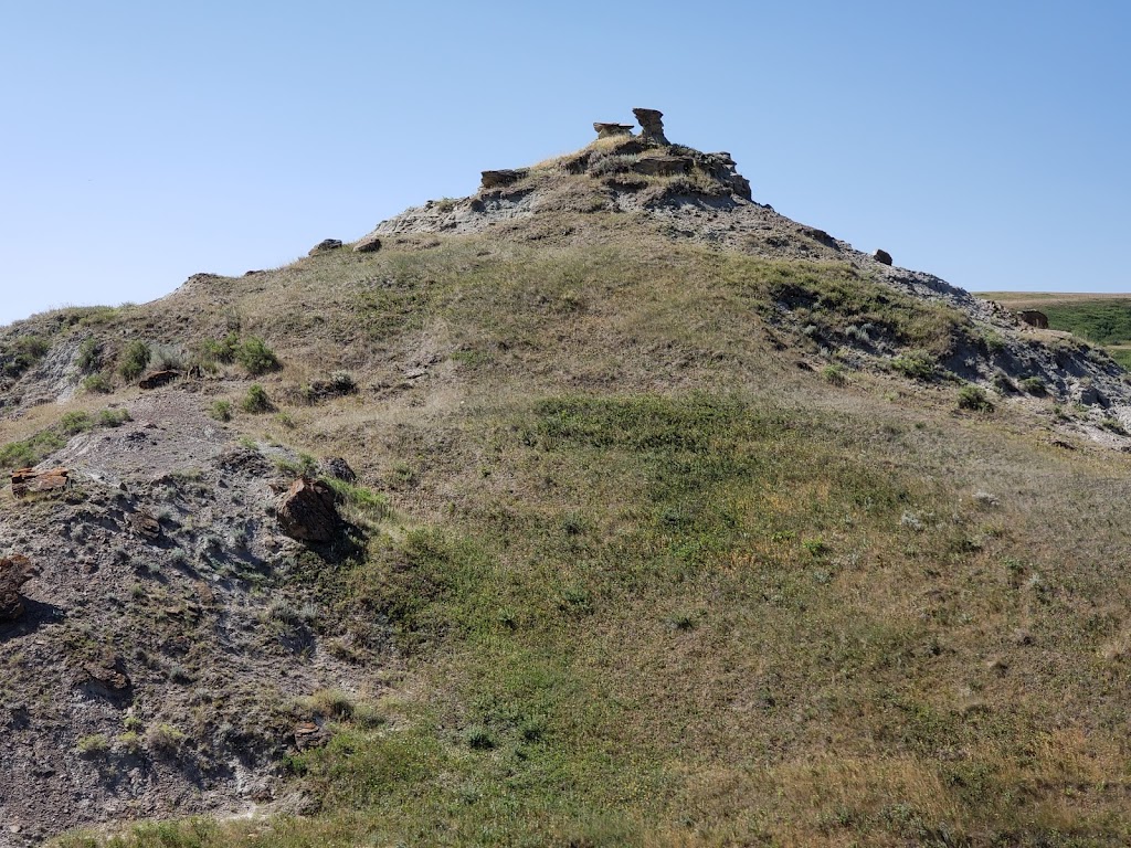 Devils Coulee Dinosaur and Heritage Museum | Inside the County building, 300A County Rd, Warner, AB T0K 2L0, Canada | Phone: (403) 642-2118