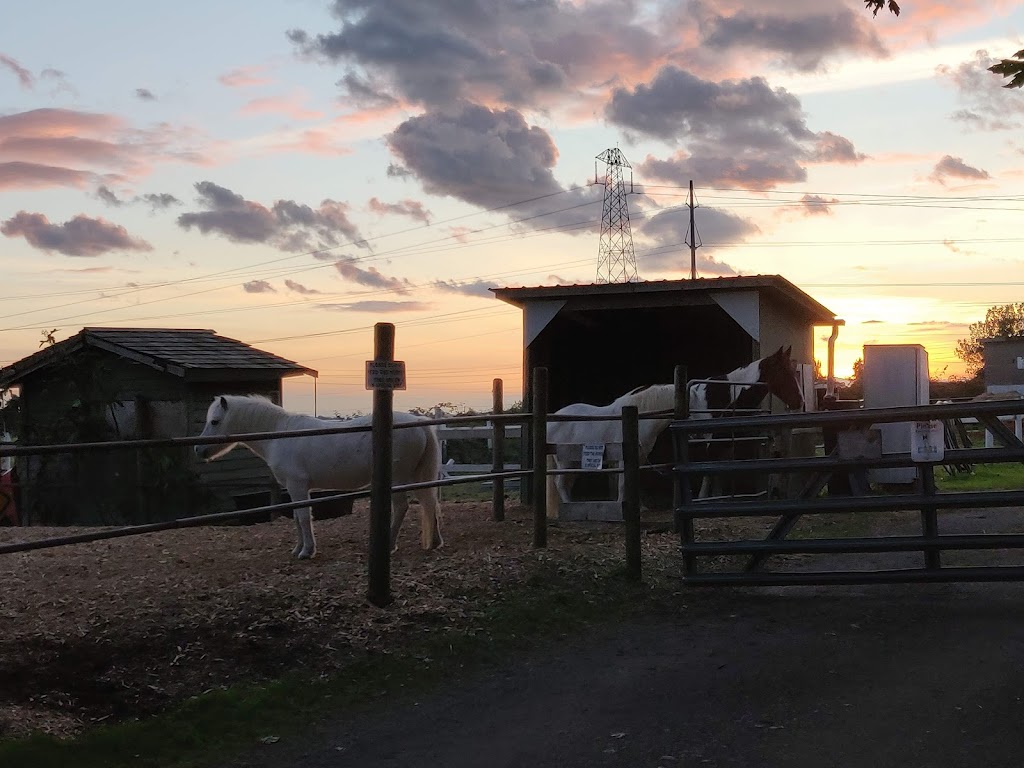 Four Seasons Equesterian Facility | 4409 66 St, Delta, BC V4K 4Y8, Canada | Phone: (604) 328-9360