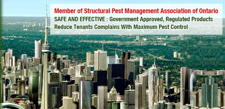 Maximum Pest Control Services. | 96 Kenilworth Ave N, Hamilton, ON L8H 4R5, Canada | Phone: (289) 396-5426