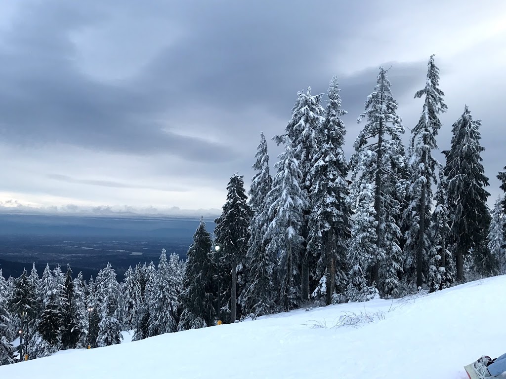 Mt Seymour Resort | 1700 Mt Seymour Rd, North Vancouver, BC V7G 1L3, Canada | Phone: (604) 986-2261