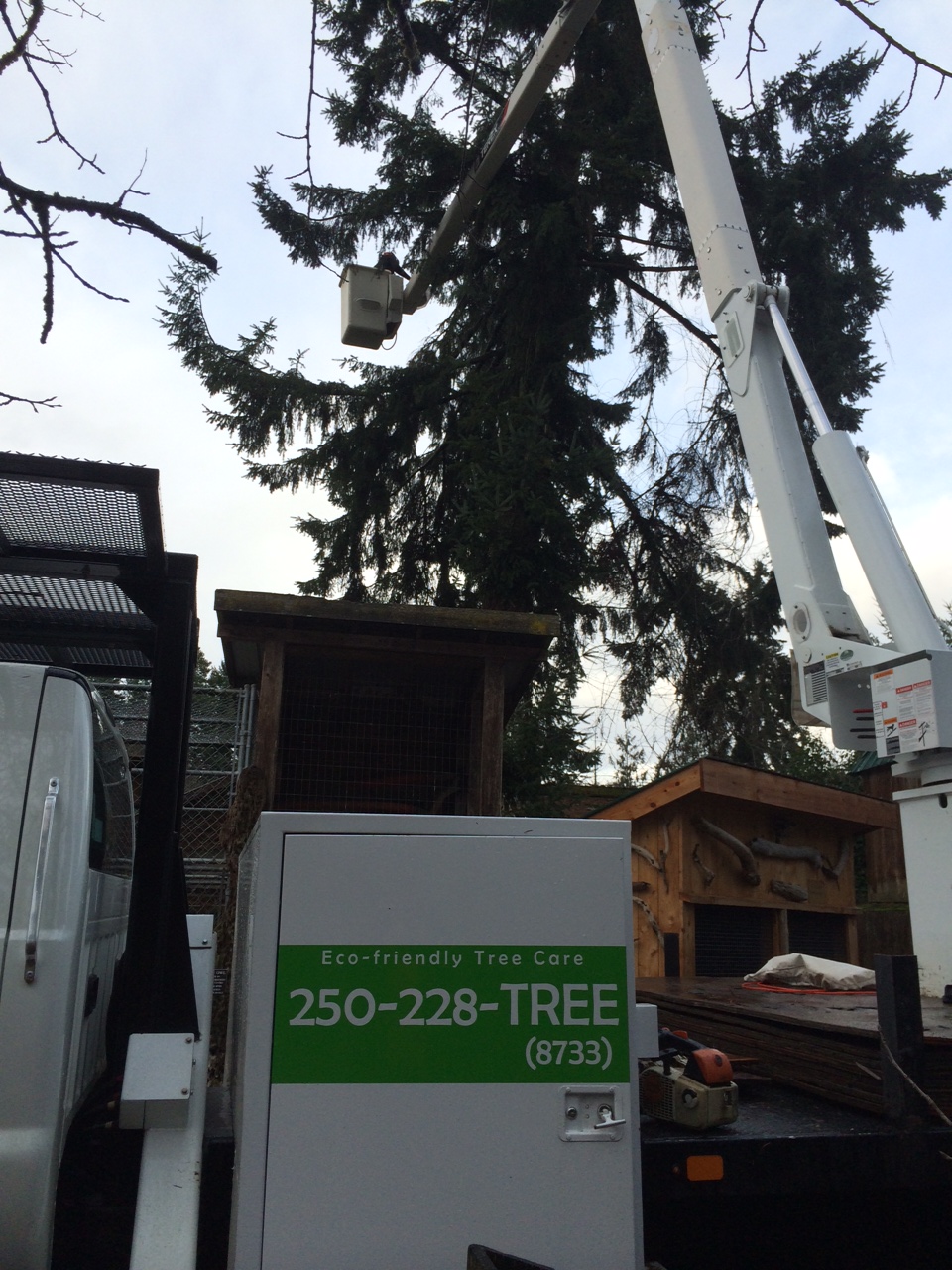 Treeco Tree Service | Coombs, BC V0R 1M0, Canada | Phone: (250) 228-8733