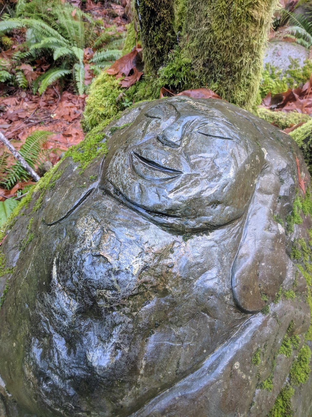 Holland Creek Trail | Heart Lake Trail, Ladysmith, BC V9G 1V4, Canada