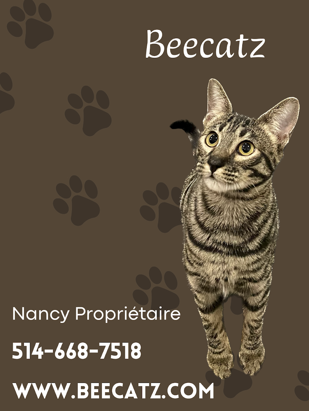 Chatterie Beecatz | Rue Louis-Pasquier, Mont-Saint-Hilaire, QC J3H 0A1, Canada | Phone: (514) 668-7518