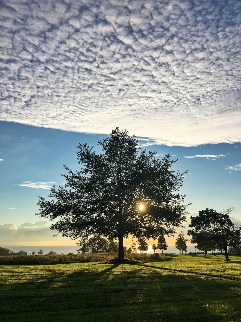 Veterans Point Gardens | Waterfront Trail, Ajax, ON L1S 3Z3, Canada | Phone: (905) 683-4550