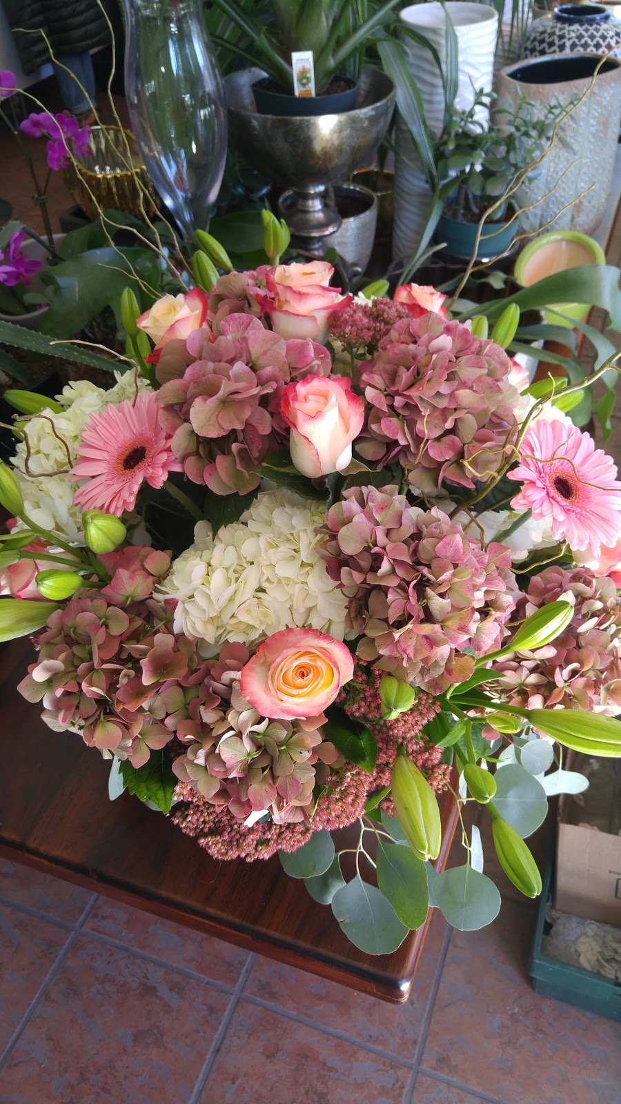 Paris Florists | 1500 Islington Avenue, Etobicoke, ON M9A 3L8 Islington Ave, Etobicoke, ON M9A 3L8, Canada | Phone: (416) 531-2211