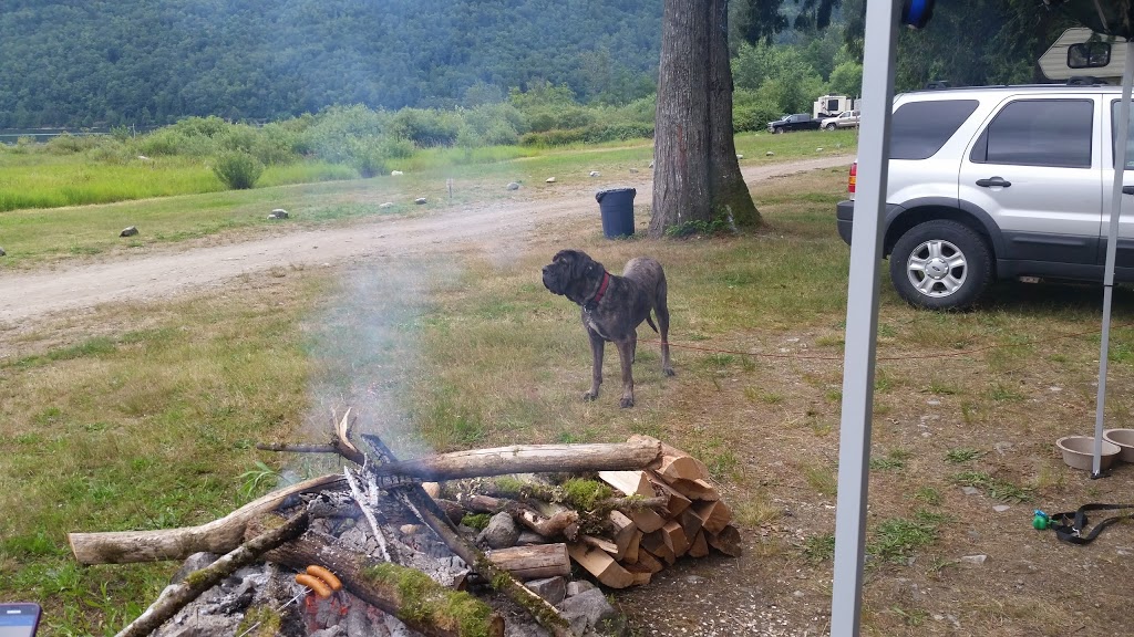 Squawkum Park & Campground | 44314 Lougheed Hwy, Lake Errock, BC V0M 1N0, Canada | Phone: (604) 826-5813