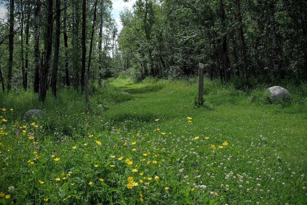 Hayburger trailhead # 1 - Elk Island National Park | Fort Saskatchewan, AB T8L 2N7, Canada | Phone: (780) 922-5790