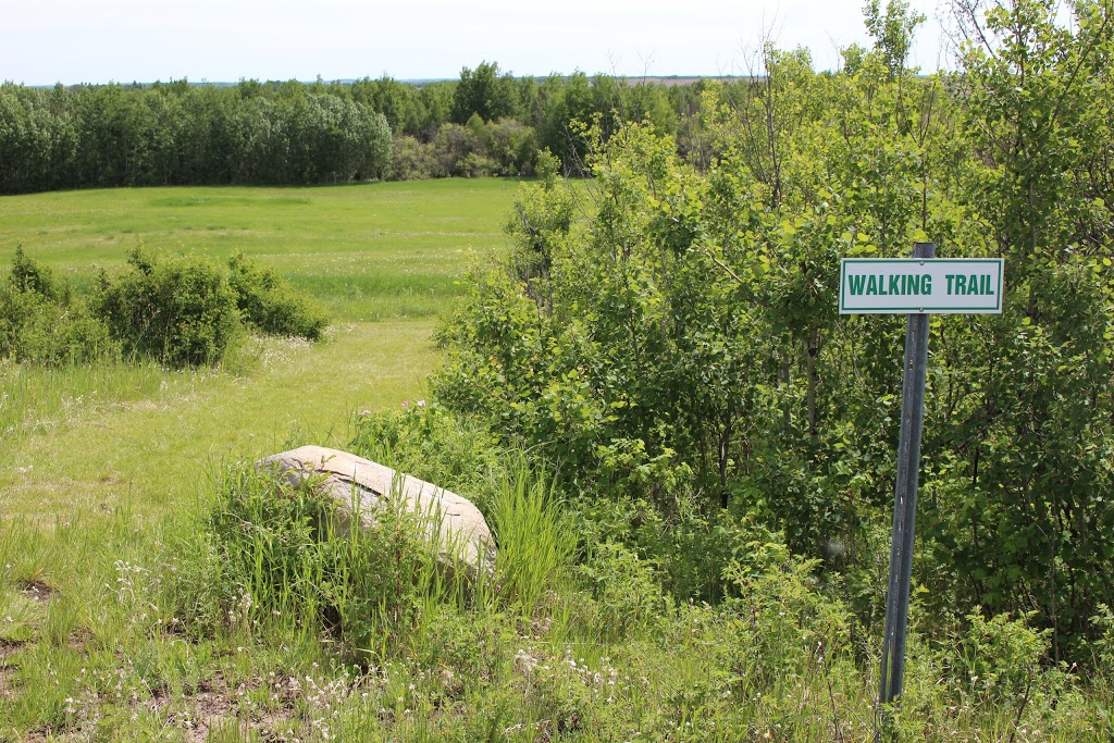 Memory Lane Campground and RV Park Inc. | Range Rd 13, Onoway, AB T0E 1V0, Canada | Phone: (780) 995-5555