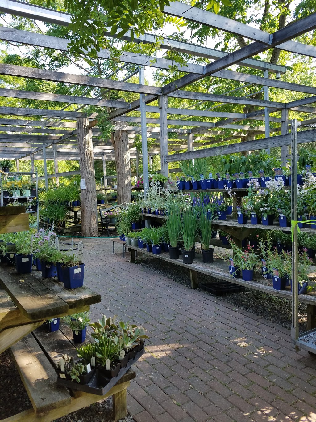 Mastersons Garden Center, Inc. | 725 Olean Rd #9781, East Aurora, NY 14052, USA | Phone: (716) 655-0133