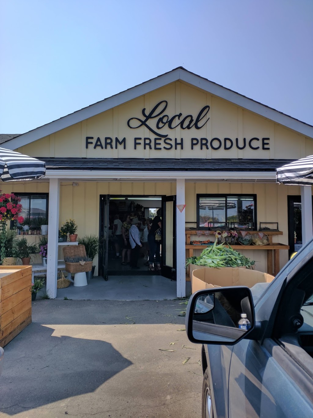 Backroads Family Farm Market | 2757 52 St, Tsawwassen, BC V4M 4G7, Canada | Phone: (604) 230-4305