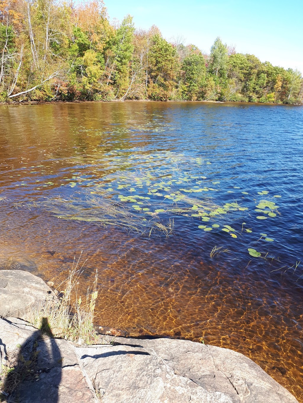 Plage sentier Hydro-Québec | Shawinigan, QC G9N 7J4, Canada