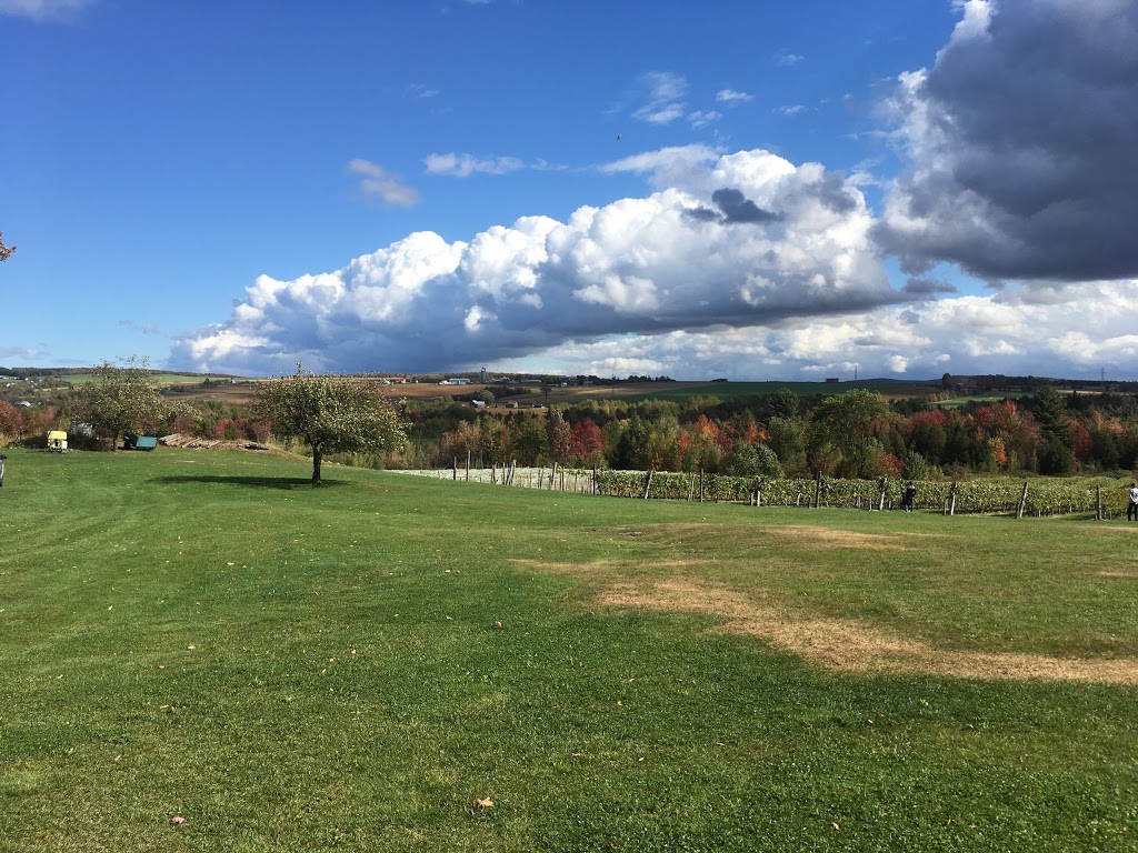 Vignoble Les Côtes Du Gavet | 1690 Chemin de lAqueduc, Tingwick, QC J0A 1L0, Canada | Phone: (819) 850-3391