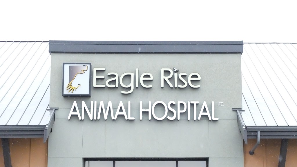 Eagle Rise Animal Hospital Ltd | 314 Wale Rd, Victoria, BC V9B 0J8, Canada | Phone: (250) 590-8445