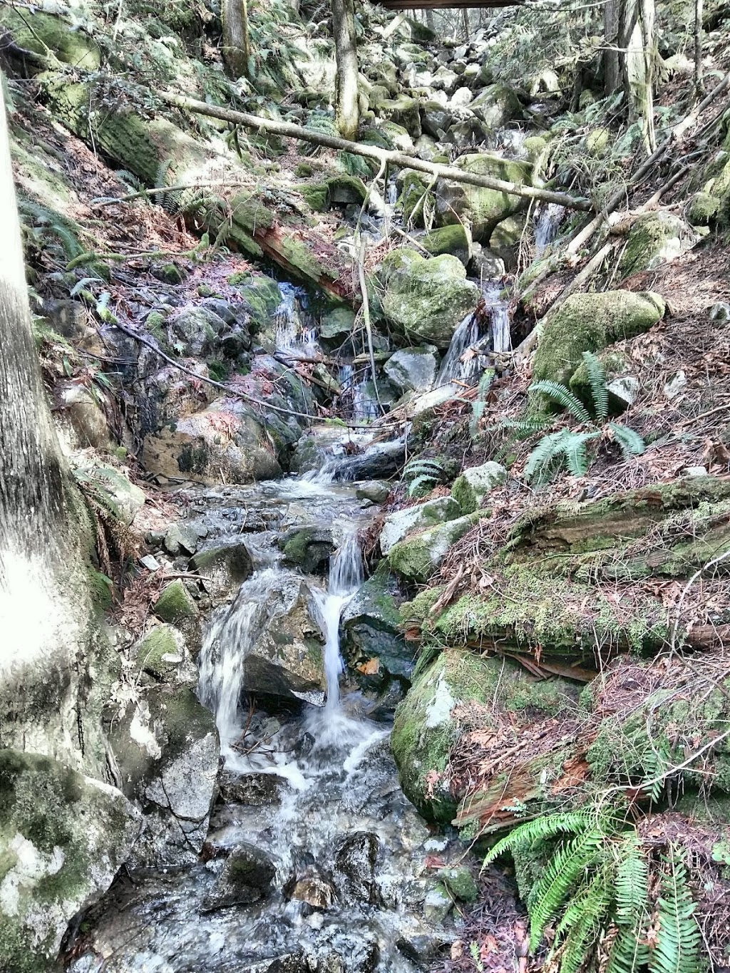 Cascade Falls | Cascade Falls Trail, Fraser Valley F, BC V2V 7G7, Canada