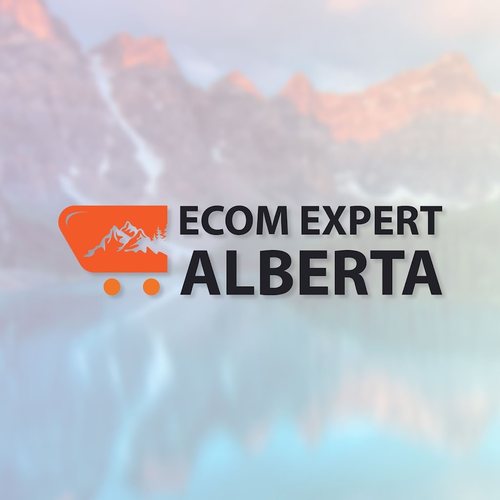 Ecom Expert Alberta | Eagleview Pl NW, High River, AB T1V 1Y8, Canada | Phone: 01839-029644