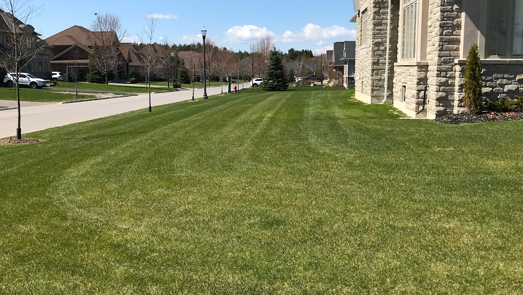 Father Mows Best Grass Cutting | 36 Wheler Ct, Uxbridge, ON L9P 1T8, Canada | Phone: (905) 852-6387