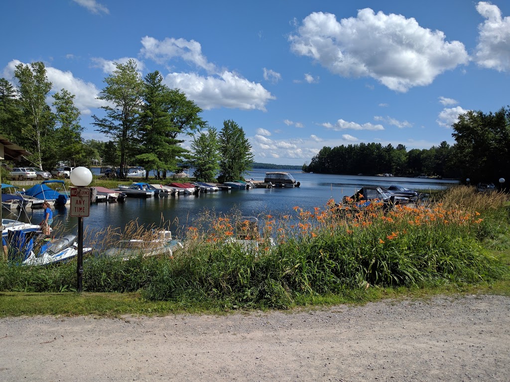 Little Gull Marina | 144 Mississauga Lake Rd, Trent Lakes, ON K0L 1J0, Canada | Phone: (705) 657-9088