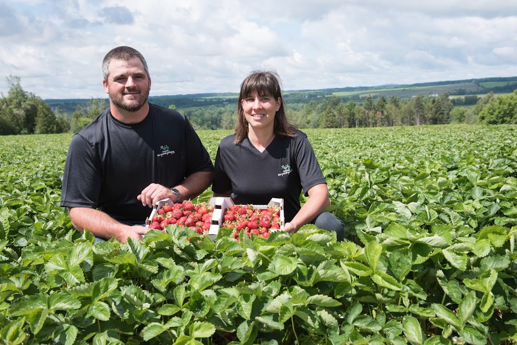 Vallée des grands potagers | 6362 Rte Louis-S.-Saint-Laurent, Compton, QC J0B 1L0, Canada | Phone: (819) 212-4433