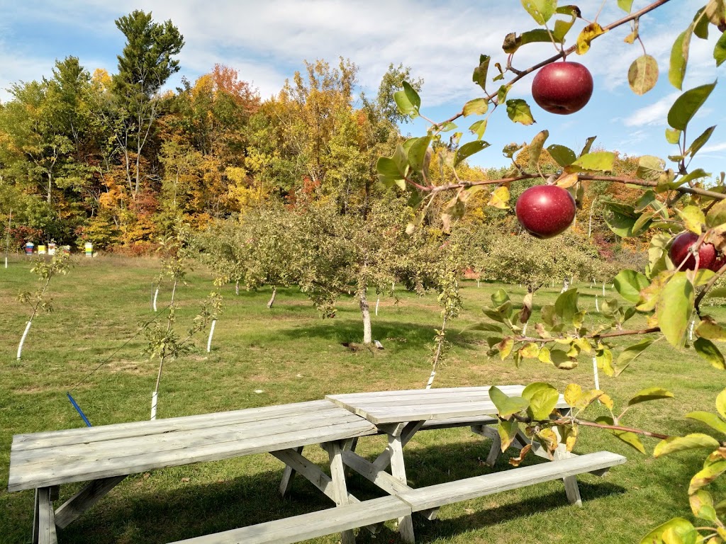 Les Domaines Roka | 2 Chemin du Sous-Bois, Mont-Saint-Grégoire, QC J0J 1K0, Canada | Phone: (514) 804-6450