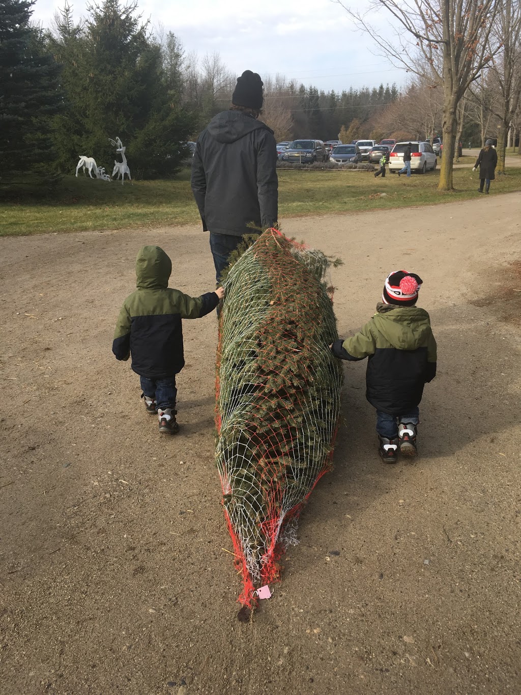 Evergreen Tree Farm | 7811 Wellington 22, Guelph, ON N1H 6J2, Canada | Phone: (519) 767-2496