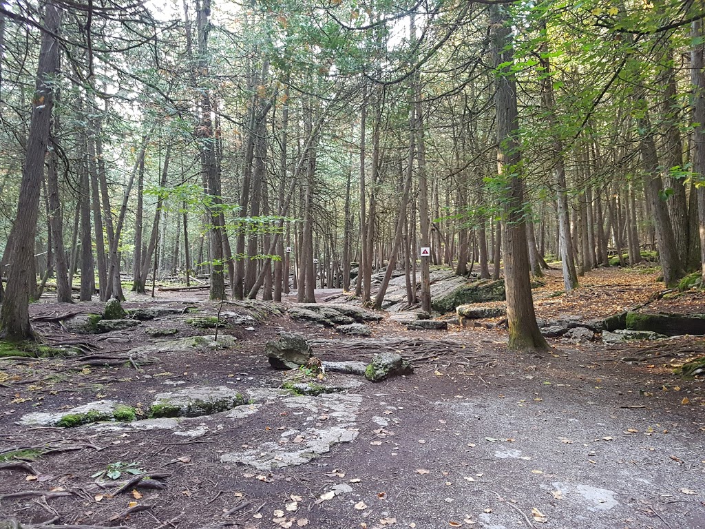 Warsaw Caves Conservation Area and Campground | 289 Caves Rd, Warsaw, ON K0L 3A0, Canada | Phone: (705) 652-3161