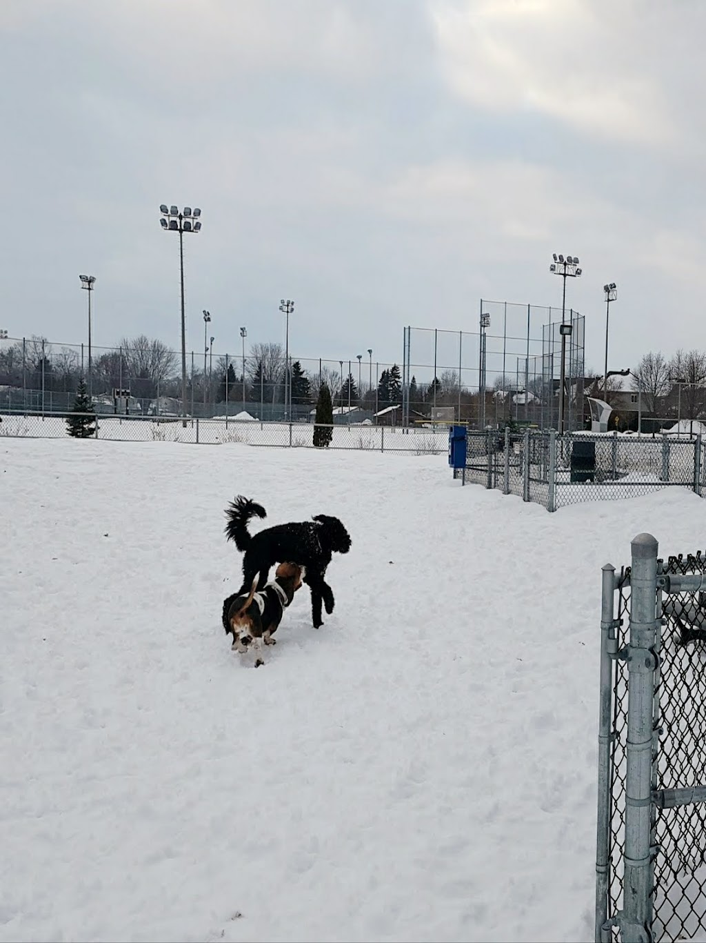 Brook Park Rink | 12800 Rue Brook, Pierrefonds, QC H8Z 1C1, Canada | Phone: (514) 872-0311