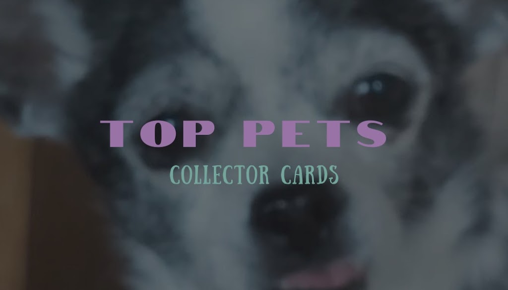 Top pets collector cards | 115 Prestwick Cir SE, Calgary, AB T2Z 0N1, Canada | Phone: (403) 815-4188