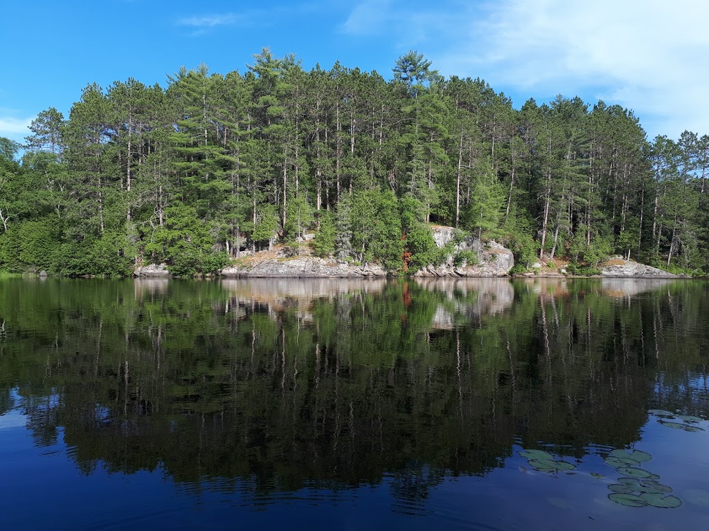 Greater Madawaska Canoe Rentals | 25775 Hwy 41, Griffith, ON K0J 2R0, Canada | Phone: (613) 333-2240