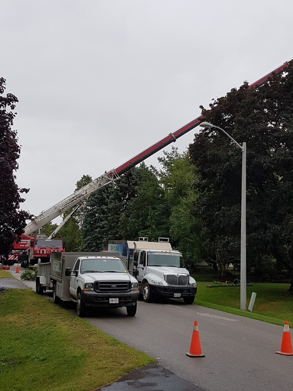 Skyline Tree Service Limited | 5095 Wixson St, Claremont, ON L1Y 1B6, Canada | Phone: (905) 649-3778