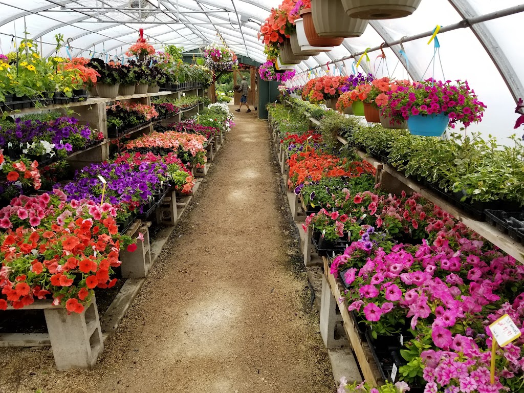 Falk Nurseries | 23062 PR 311, New Bothwell, MB R0A 1C0, Canada | Phone: (204) 388-4927