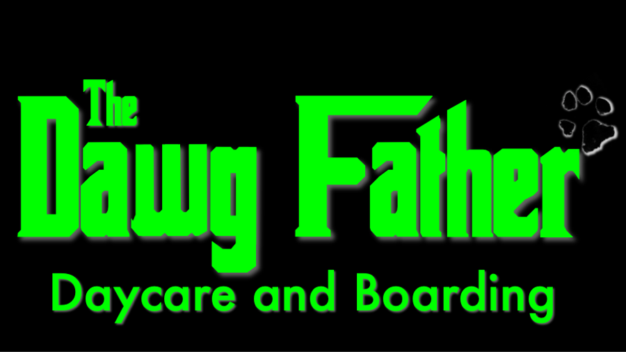 The Dawg Father Daycare and Boarding | 64136 Highway 543 East, High River, AB T0L 0A0, Canada | Phone: (403) 652-9729