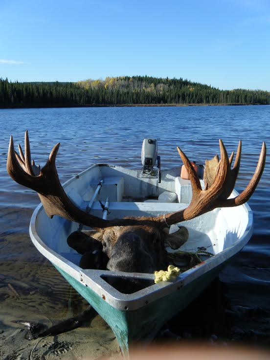 Pourvoirie Grand Lac du Nord | 27 Rue de lÉglise, Les Escoumins, QC G0T 1K0, Canada | Phone: (418) 233-3367