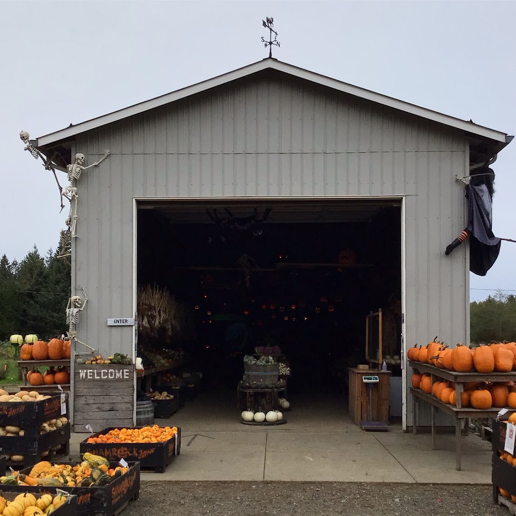 Shamrock Farm | 2276 Anderton Rd, Comox, BC V9M 4B2, Canada | Phone: (250) 339-1671