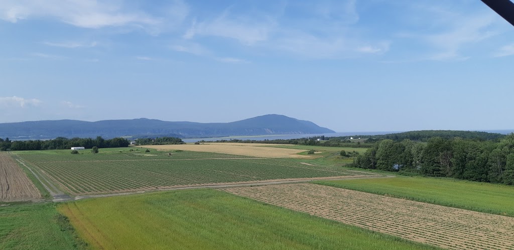 Gîte Au tournant de lÎle dOrléans B&B | 3496 Chemin Royal, Saint-François-de-lÎle-dOrléans, QC G0A 3S0, Canada | Phone: (418) 203-0801