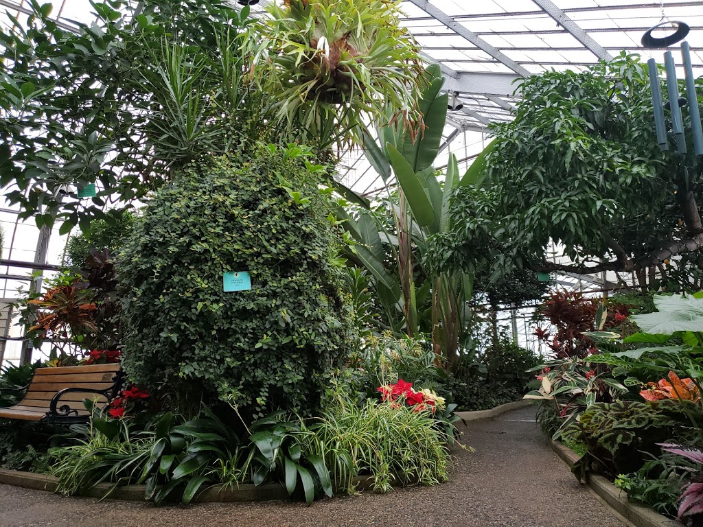 Centennial Conservatory | 1601 Dease St, Thunder Bay, ON P7C 5H3, Canada | Phone: (807) 622-7036