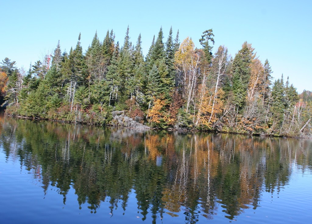 Ski de fond Mont-Tremblant | 251 Chemin Clément, Mont-Tremblant, QC J8E 1N8, Canada | Phone: (819) 425-5588