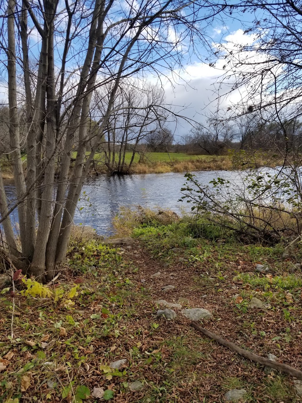 Brown Natural Area | Richmond, Ottawa, ON K0A 2Z0, Canada