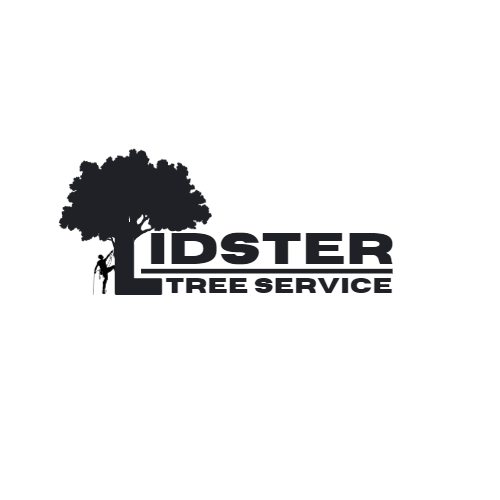Lidster Tree Service | 26 Blairmont Terrace, St Thomas, ON N5R 5M9, Canada | Phone: (519) 633-8222